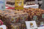 “Vietnamese Goods Day” promotes Bac Giang lychees in Germany