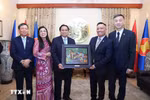 PM meets with embassy staff, Vietnamese community in Czech Republic