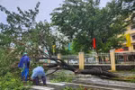 Typhoon Bualoi leaves trail of damage in Hue, authorities rush to assist residents 