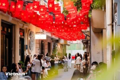 Foreign visitors impressed by Vietnam’s National Day celebrations