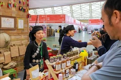 Spring Fair 2026: PM urges stronger promotion of local products and brands