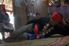 Attempts to preserve Dao Tien ethnic community’s cultural