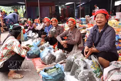 Rural market rich in traditional charm in Tuyen Quang province