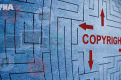 IP rights enforcement increasingly effective