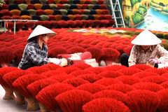 Hanoi steps up efforts to tap suburban tourism potential