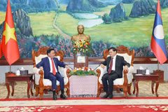 Key Vietnamese Party official meets with top Lao leader in Vientiane