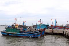 Quang Tri fishermen strive to head offshore amid dual challenges
