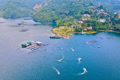 Muong village integrates aquaculture with eco-tourism