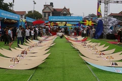 Kite festival recognised as national intangible cultural heritage