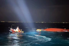 Three Vietnamese nationals rescued after ship capsizes off Jeju Island