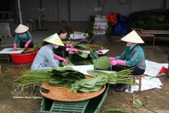 Mesmerising tourism products offered in ancient capital