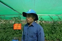 Vietnamese soldiers transform barren African land into thriving vegetable gardens