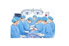 Organ transplantation in Vietnam in era of advanced medicine