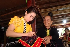 Preserving Thai ethnic brocade weaving