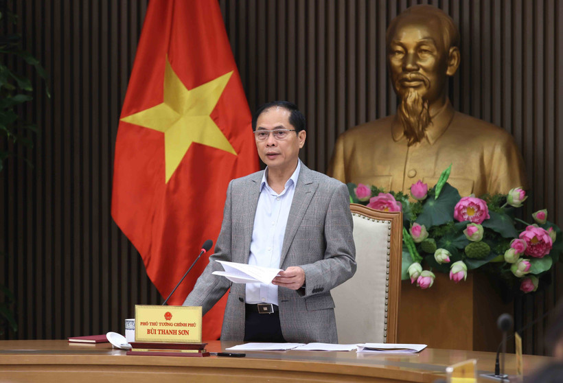 Deputy Prime Minister Bui Thanh Son speaks at the event (Photo: VNA)