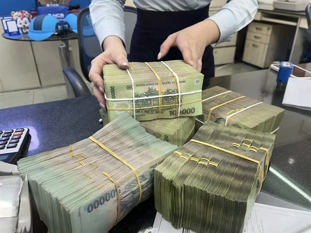 A bank employee counts money for a customer at a private branch in HCM City. (Photo: VNA)