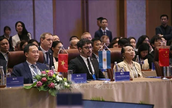 Participants at the official session of the City Partnership Forum – Da Nang 2025 held in the central coastal city on January 17. (Photo: VNA)