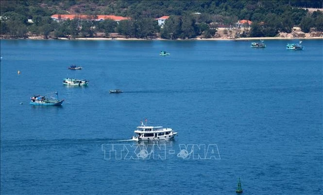 Yachts serving tourists exploring Phu Quoc's island waters, Kien Giang province. (Photo: VNA) 