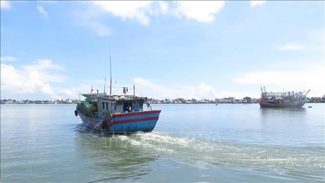 Fishing boats of local fishermen heading out to sea for seafood harvesting. (Photo: VNA)