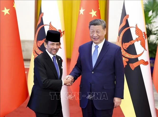 Chinese President Xi Jinping (right) and Brunei's Sultan Haji Hassanal Bolkiah Mu'izzaddin Waddaulah at their meeting in Beijing, China, on February 6, 2025. (Photo: Xinhua/VNA)