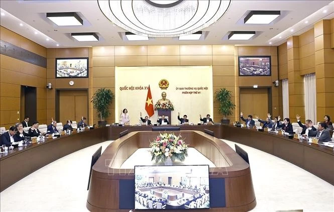 NA Standing Committee members vote at their 41st session in Hanoi on January 6. (Photo: VNA)