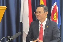 Vietnamese Ambassador to Singapore Tran Phuoc Anh (Photo: VNA)