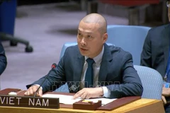 Minister Counsellor Nguyen Hoang Nguyen, Chargé d’Affaires at the Vietnamese Delegation to the United Nations (Photo: VNA)