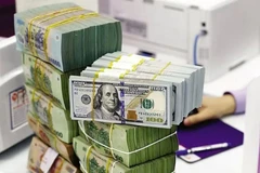 The State Bank of Vietnam sets the daily reference exchange rate at 25,049 VND/USD on February 13. (Photo: VNA)