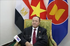 Vietnamese Ambassador to Egypt Nguyen Huy Dung (Photo: VNA)