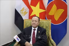 Vietnamese Ambassador to Egypt Nguyen Huy Dung (Photo: VNA)