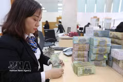 Corporate bond issuance reached nearly 10.5 billion USD in the first half of the year. (Photo: VNA)