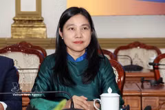 Ha Thanh, Chairwoman of the Ho Chi Minh City Union of Friendship Organisations and head of the advisory council for international integration, people-to-people diplomacy and overseas Vietnamese affairs under the Vietnam Fatherland Front Committee of the city (Photo: VNA)