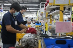 A production line of the RoK-invested Unipax Vi Thanh Co in Hau Giang province. (Photo: VNA)
