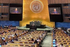 Minister Counsellor Nguyen Hoang Nguyen speaks at the UN General Assembly’s high-level meeting on the human rights situation of Rohingya Muslims and other minorities in Myanmar. (Photo: VNA)