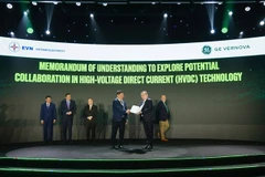 Representatives from EVN and GE Vernova pose for a group photo after signing the MoU. (Photo provided by the company)