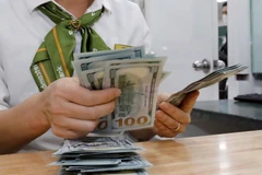 The State Bank of Vietnam sets the daily reference exchange rate at 25,146 VND/USD on December 24. (Photo: VNA)
