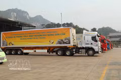 Containers of fresh Vietnamese durian for export are subject to a full-chain traceability system. (Photo: VNA) 