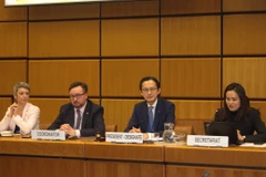 Ambassador Do Hung Viet (second from right), Permanent Representative of Vietnam to the United Nations and President-designate of the 11th Review Conference (RevCon 11) of the Treaty on the Non-Proliferation of Nuclear Weapons (NPT), chairs regional group consultations. (Photo: VNA)