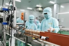 Cashew packaging at LAFOOCO, the first State-owned enterprises in Vietnam's cashew industry to go private. (Photo: VNA)