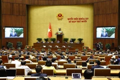 A plenary discussion at the 10th session of the 15th National Assembly (Photo: VNA)