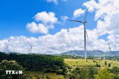 A wind power plant in Quang Tri province (Photo: VNA)