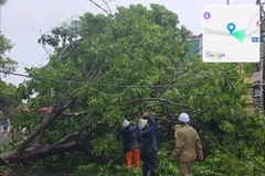 Workers of the Dong Son power management unit - Thanh Hoa Power Company handle the incident of a tree falling on the power line due to the impact of Storm Wipha on July 22. (Photo courtesy of the company)
