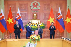Vietnamese Prime Minister Le Minh Hung (R, back row) and his Slovak counterpart Robert Fico witness the exchange of the memorandum of understanding (MoU) between the Vietnamese Ministry of National Defence and the Slovak Ministry of Defence on cooperation in the defence industry. (Photo: VNA)