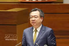 Politburo member, Secretary of the Party Central Committee, and Chairman of its Commission for Policies and Strategies Nguyen Thanh Nghi speaks at the national conference. (Photo: VNA)