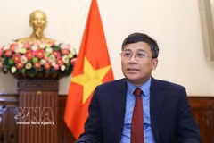 Permanent Deputy Minister of Foreign Affairs Nguyen Minh Vu (Photo: VNA)