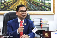 Dr. Kin Phea, Director General of the Cambodian Institute for International Relations (CIIR) under the Royal Academy of Cambodia (RAC), in an interview with the Vietnam News Agency. (Photo: VNA)