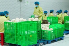 Workers package coconuts for export at an enterprise in Vinh Long province. (Photo: nhandan.vn) 