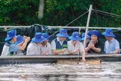 Green, low-emission and climate-resilient shrimp farming models are attracting growing interest from farmers and businesses. (Photo: VNA)