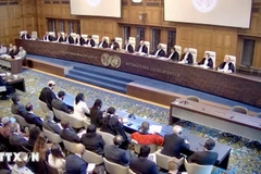 An overview of the session to announce the International Court of Justice's advisory opinion on the obligations of States in respect of climate change. (Photo: VNA)