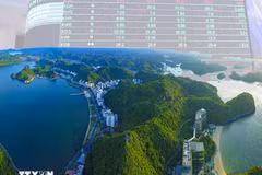 Green transition in action for a clean, green, and sustainable Vietnam (Photo: VNA)